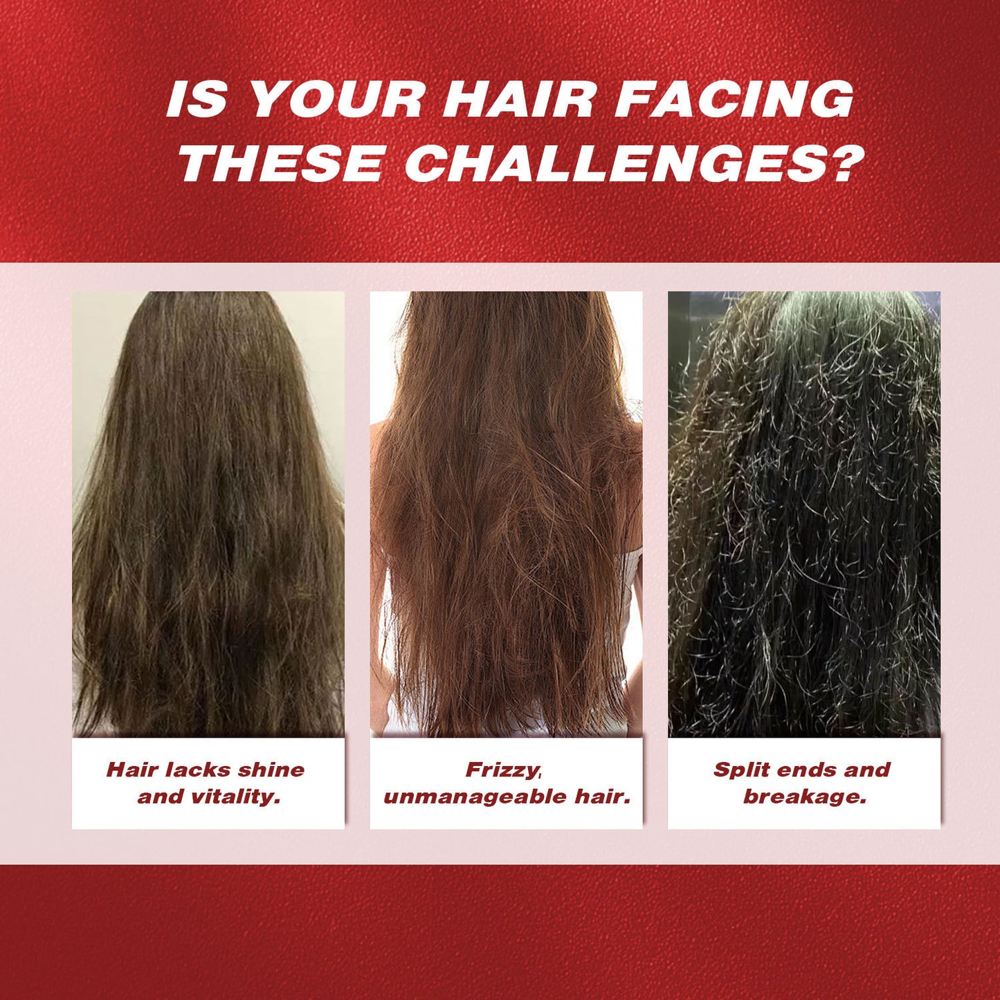 Batana Oil- Moisturizing Repair-Hair Vitamins